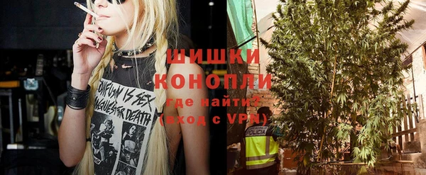 молекула духа Инта