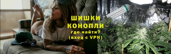 гидра Инсар