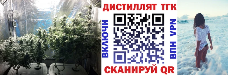 ТГК вейп  Купить где  Задонск 