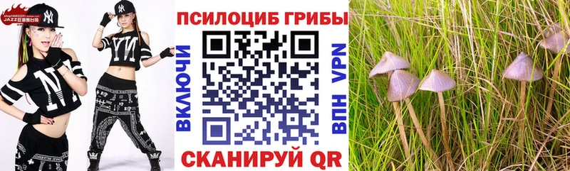 Псилоцибиновые грибы прущие грибы Задонск